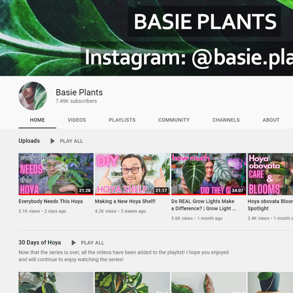 basie plants youtube channel